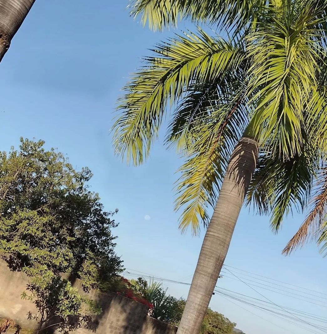 Social Paisagem de cocalzinho-go fotografada por Danillo Tavares (@uainillo)
