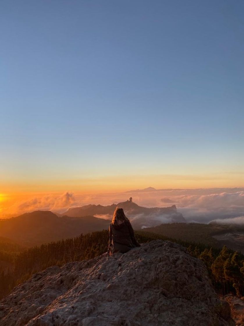 Lugar Mirador del Pico de los Pozos de las Nieves