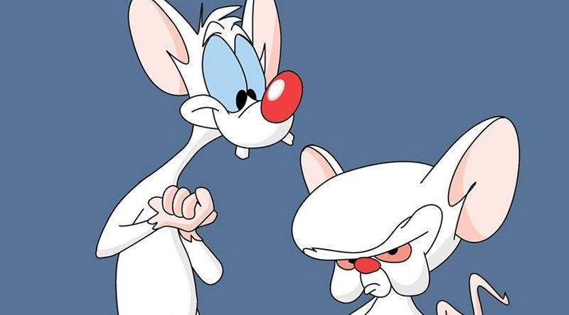 Social Pinky e o Brain