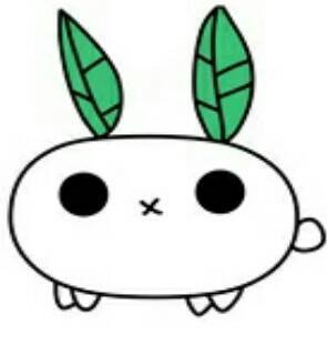 XDRabbit
