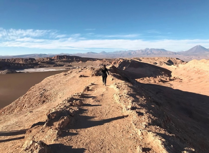 Lugar Desierto de Atacama