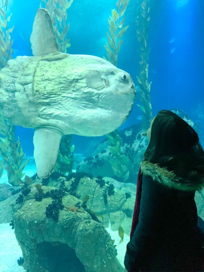 Lugar Oceanario de Lisboa