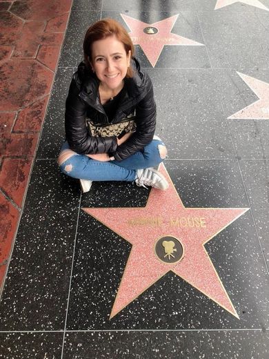 Hollywood Walk of Fame - Los Angeles - 204