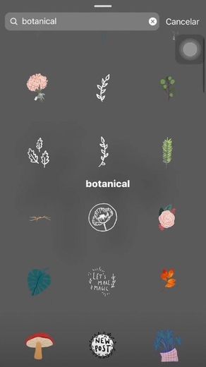 Botanical