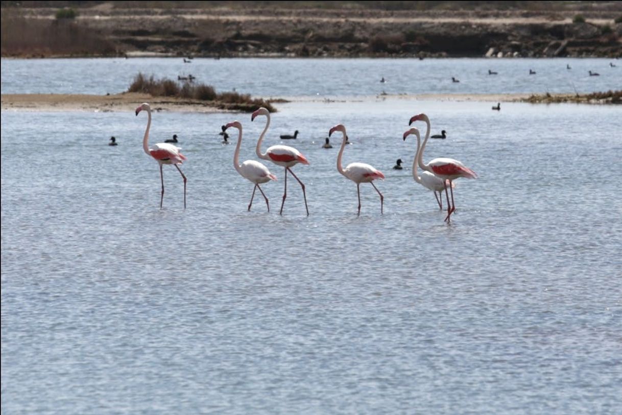 Place MónNatura Delta de l'Ebre