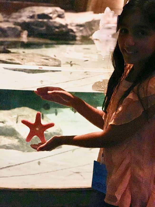 Place Atlantis, The Palm