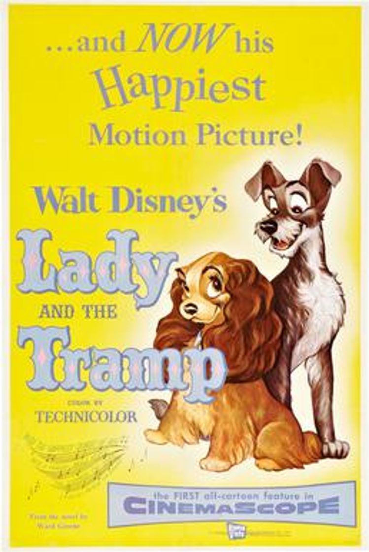 Fashion Lady and the Tramp (1955)