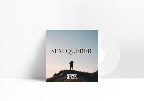Canción Sem Querer