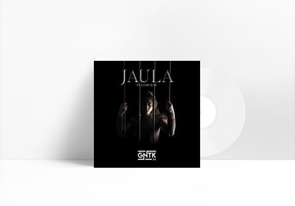 Canción Jaula