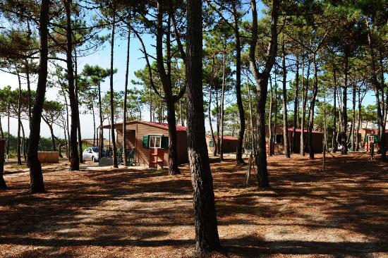 Lugar Ericeira Camping