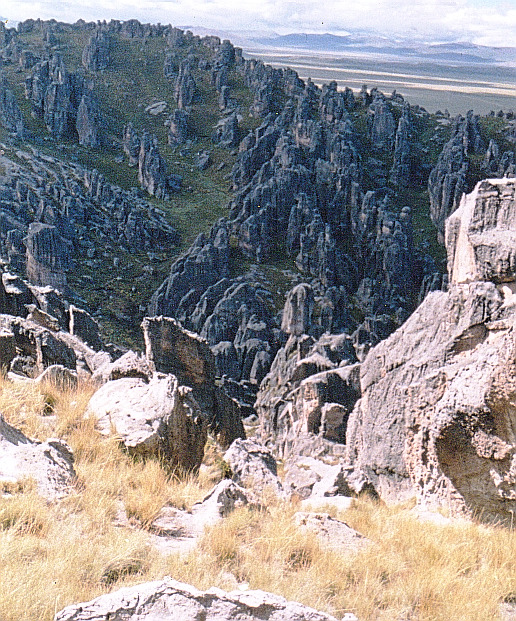 Moda Bosque de piedras de Huayllay - Wikipedia, la enciclopedia libre