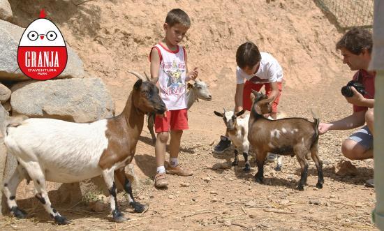 Lugar Granja d'Aventura Park