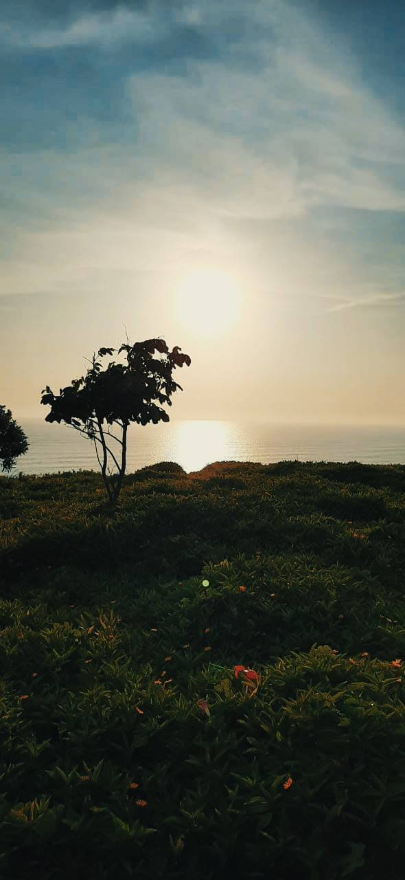 Costa Verde