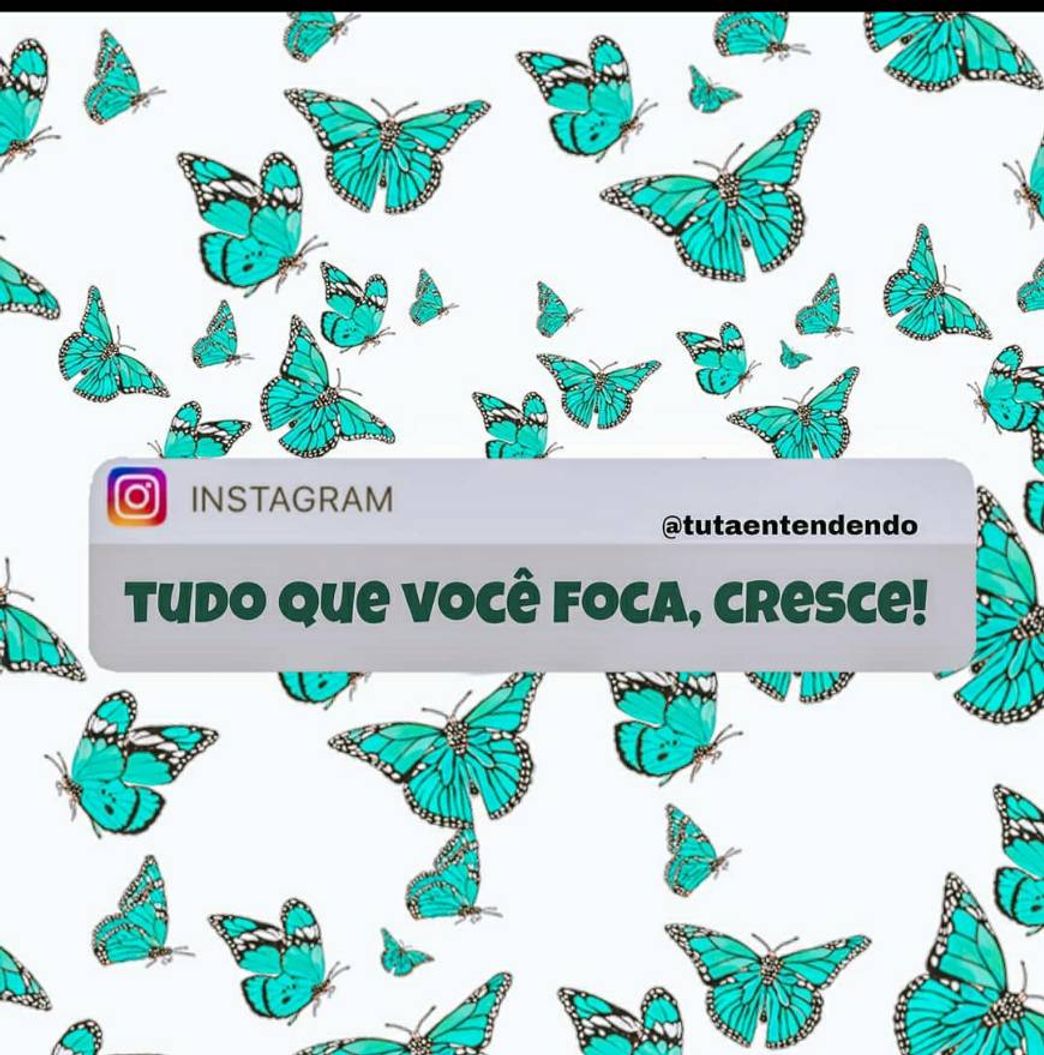 Fashion guardem essa frase 🦋