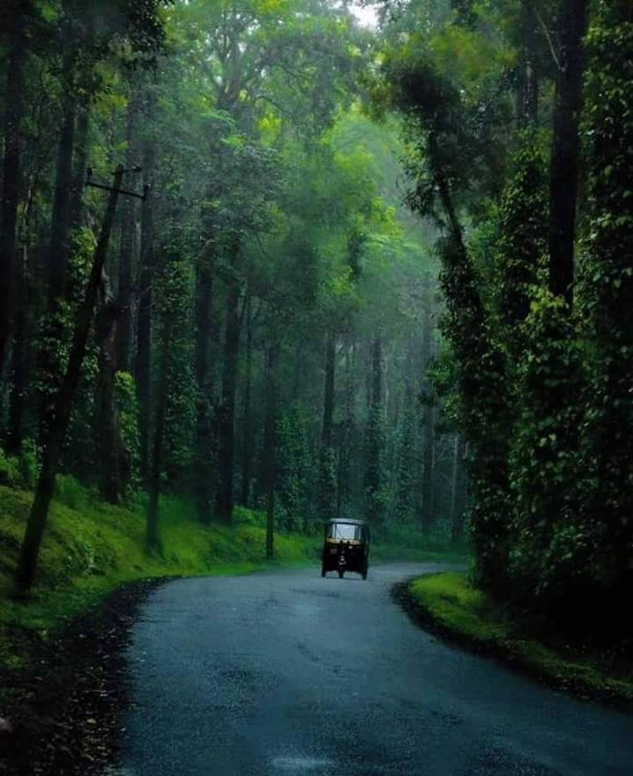 Coorg