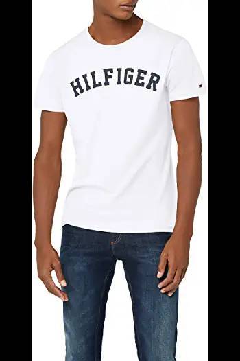 Fashion Tommy Hilfiger men's arched logo t-shirt, blue