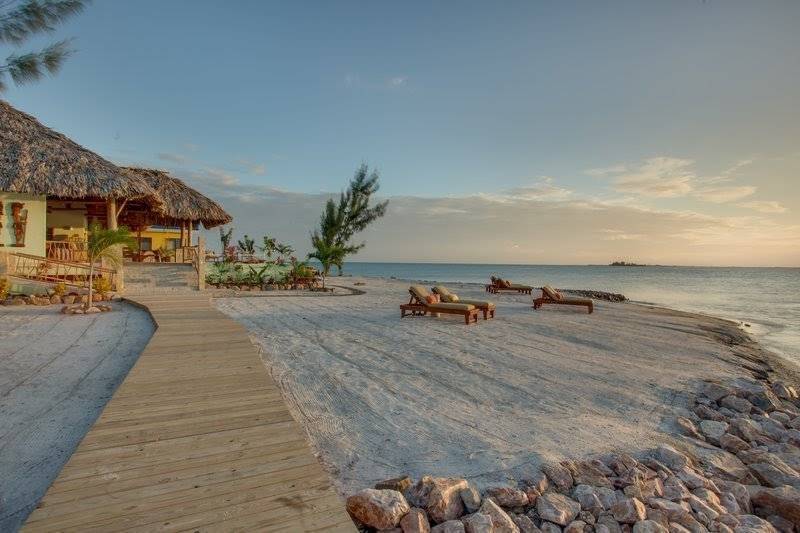 Social Little Harvest Caye