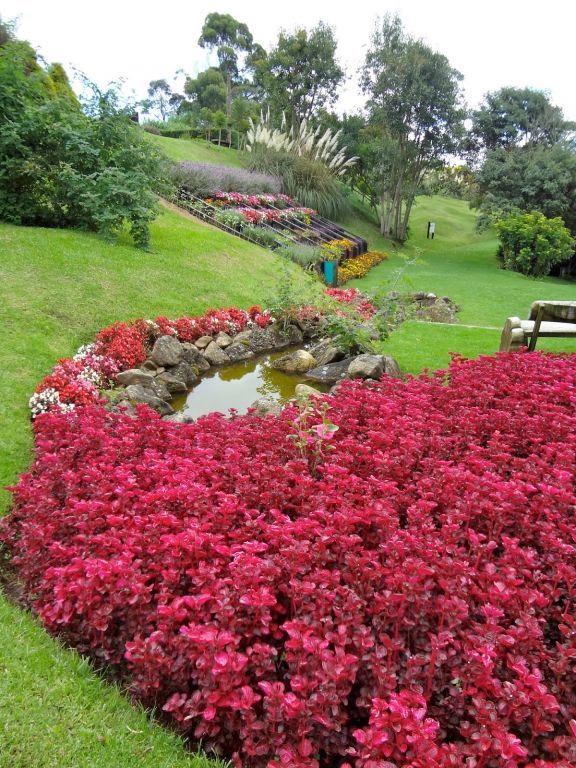 Lugar Parque do Amantikir