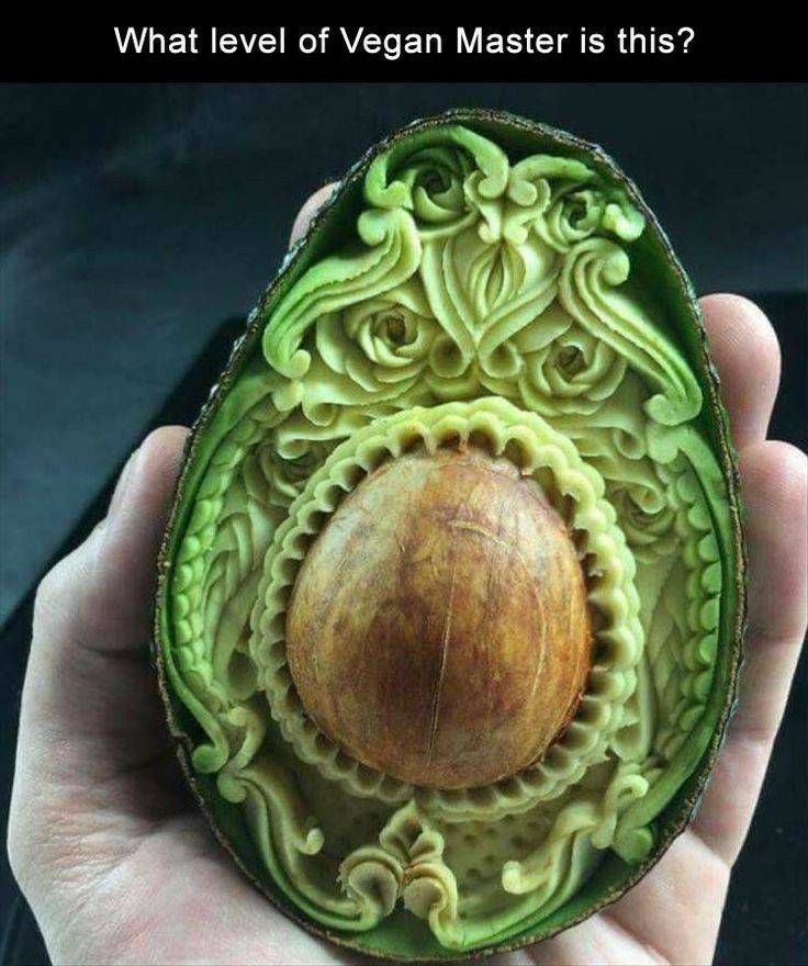 Social Satisfying avocado