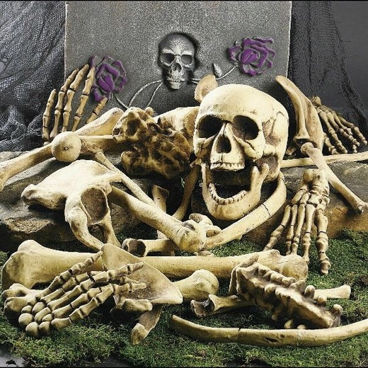 Huesos de esqueleto