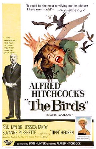 Película Los pájaros