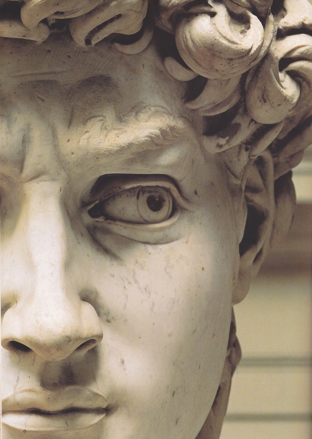 Moda DAVID, (Michelangelo)