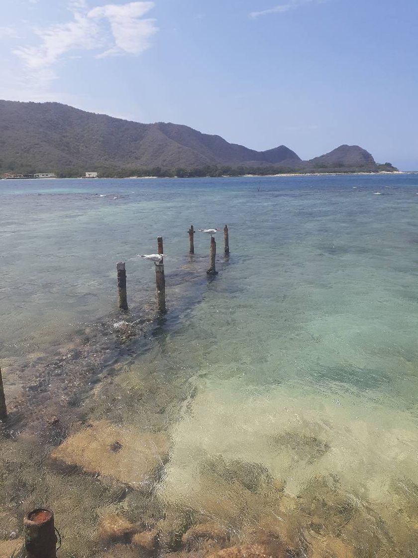 Place La Cienaga
