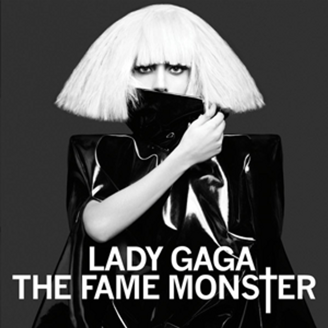 Social Lady Gaga- The Fame Monster