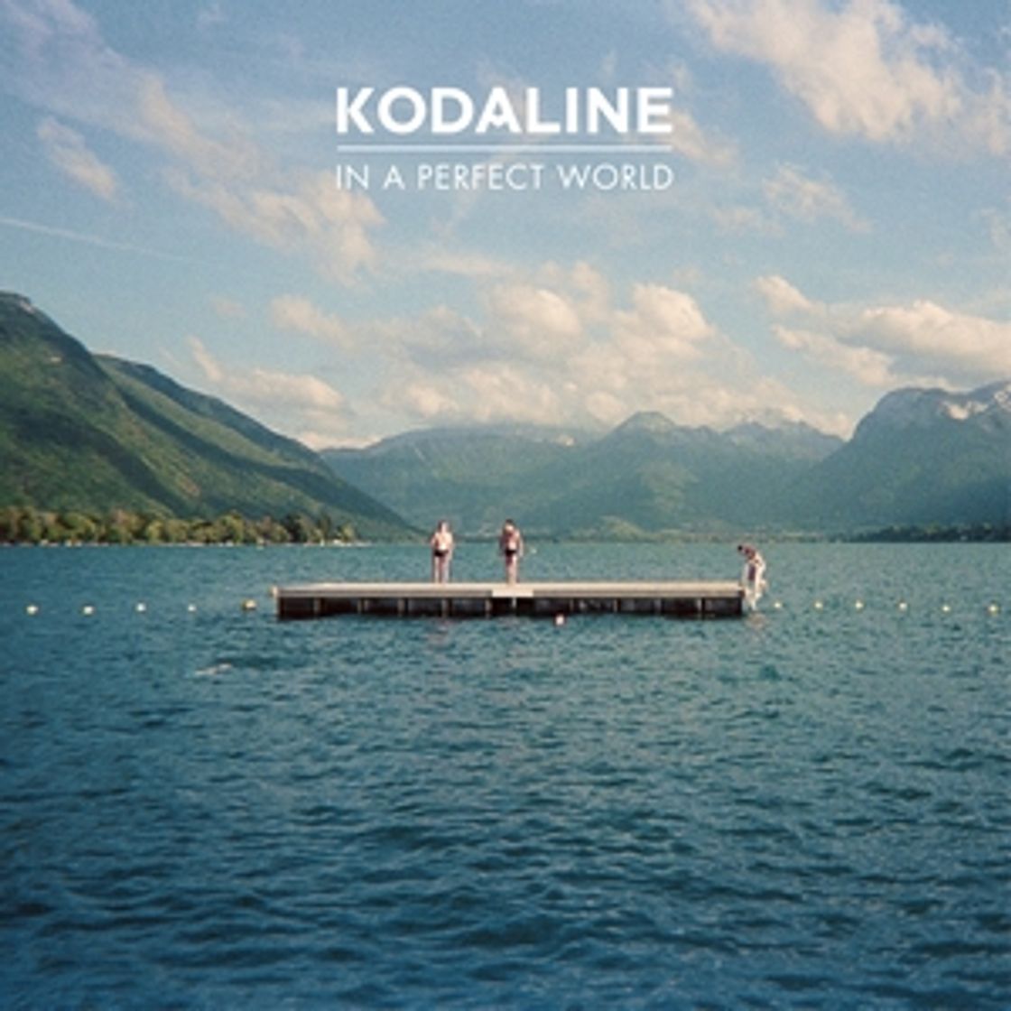 Social Kodaline- In A Perfect World