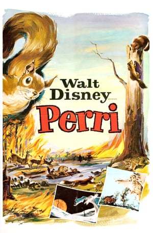 Película La historia de Perri