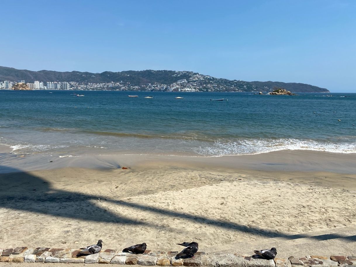 Lugar Acapulco