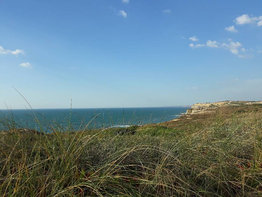 Lugar Praia da Mexilhoeira