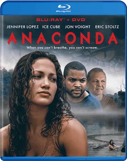 Anaconda