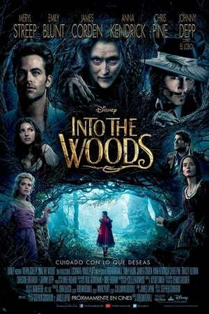 Movie Into the Woods