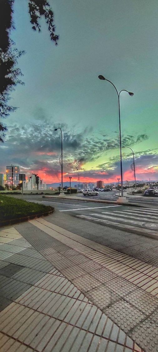 Social Foto y perfil instagram