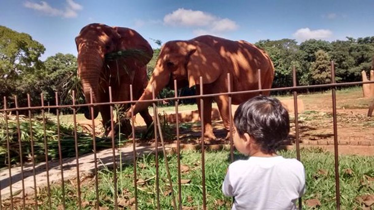 Lugar Praça do Zoológico