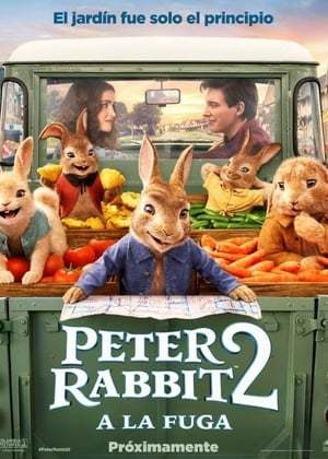 Película Peter Rabbit 2: A la fuga