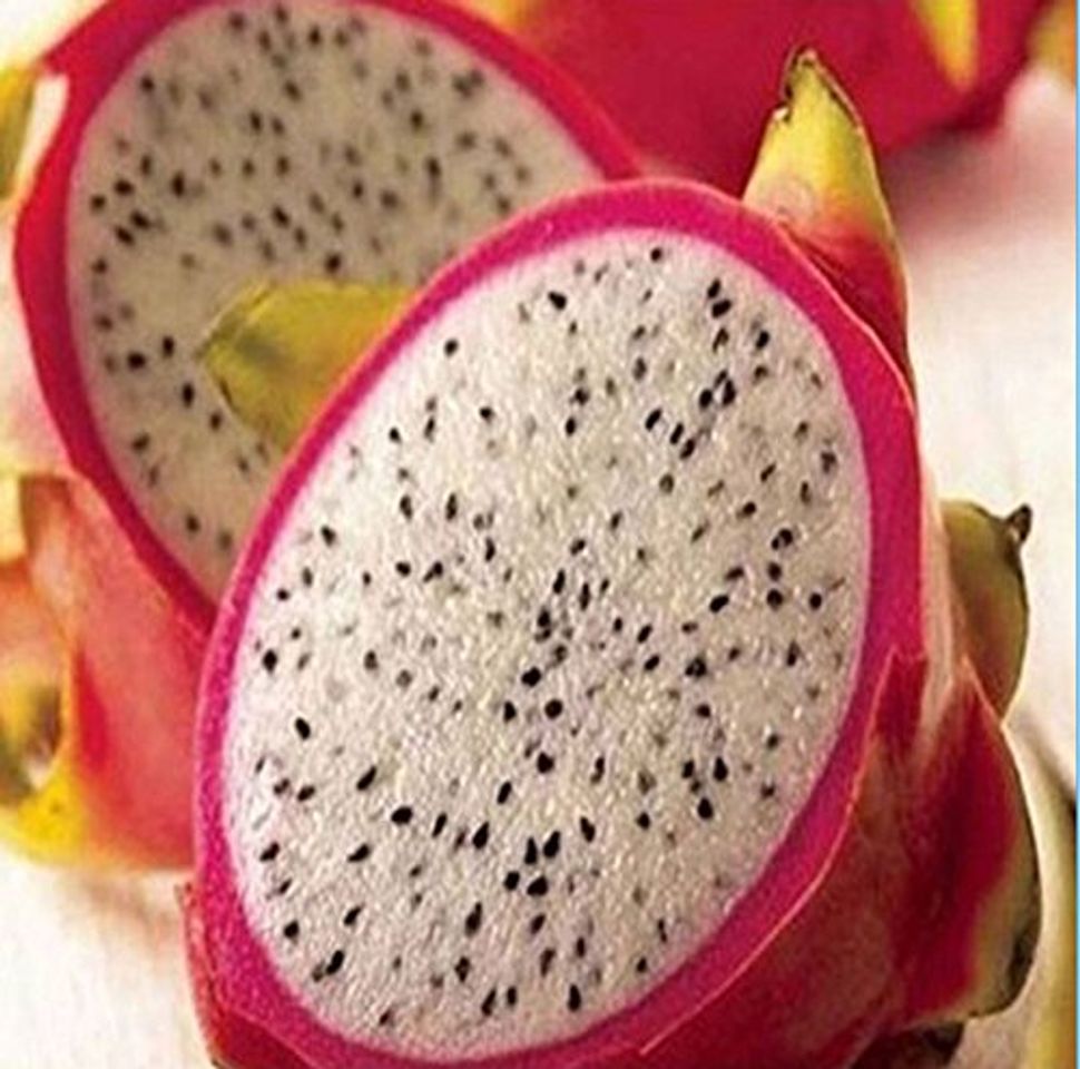 Producto 20 RARE Semillas Fruta del dragón de Pitaya Hylocereus undatus Frutas Semillas