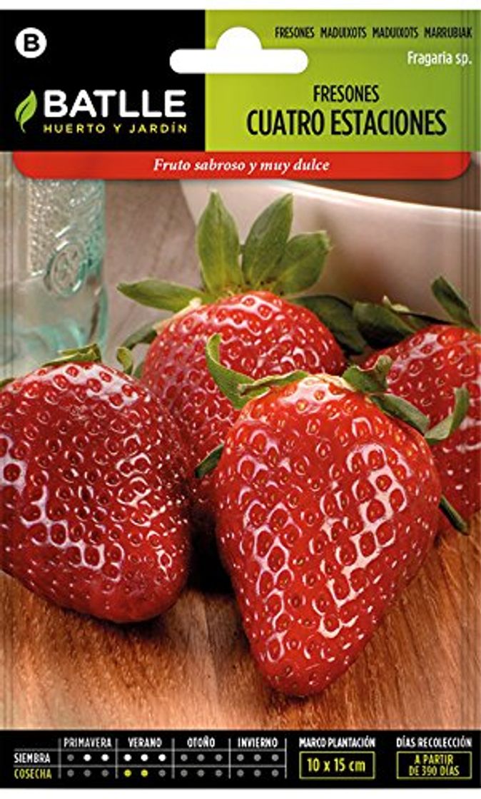 Social Semillas Hortícolas