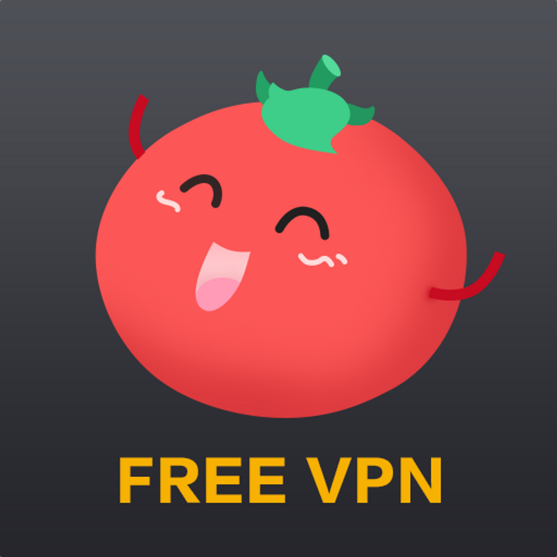 App Free VPN Tomato 