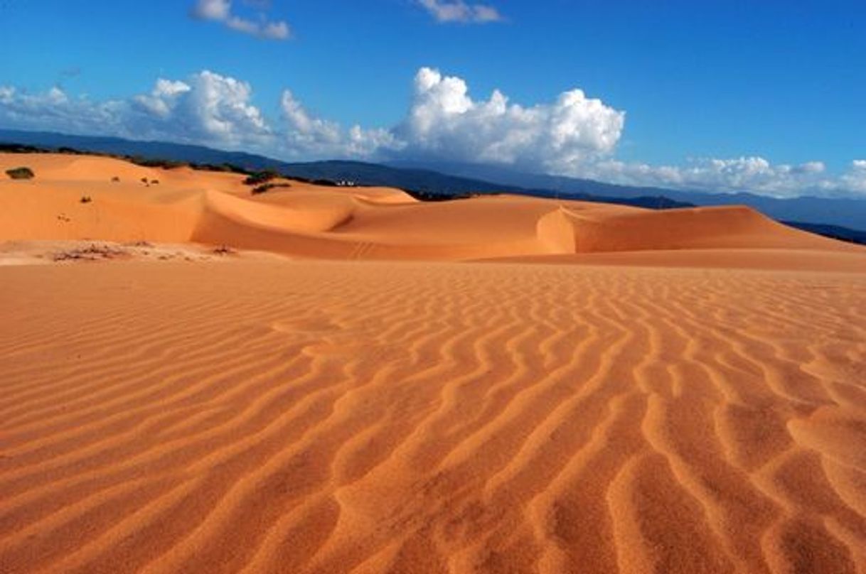 Lugar Los Medanos