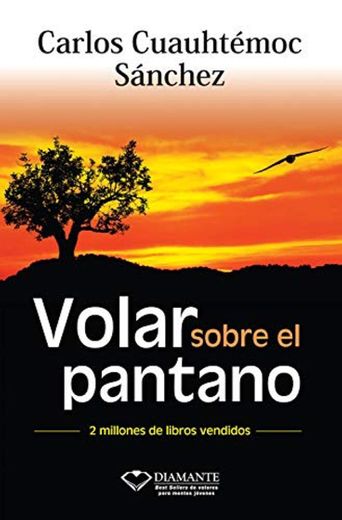 Volar sobre el pantano