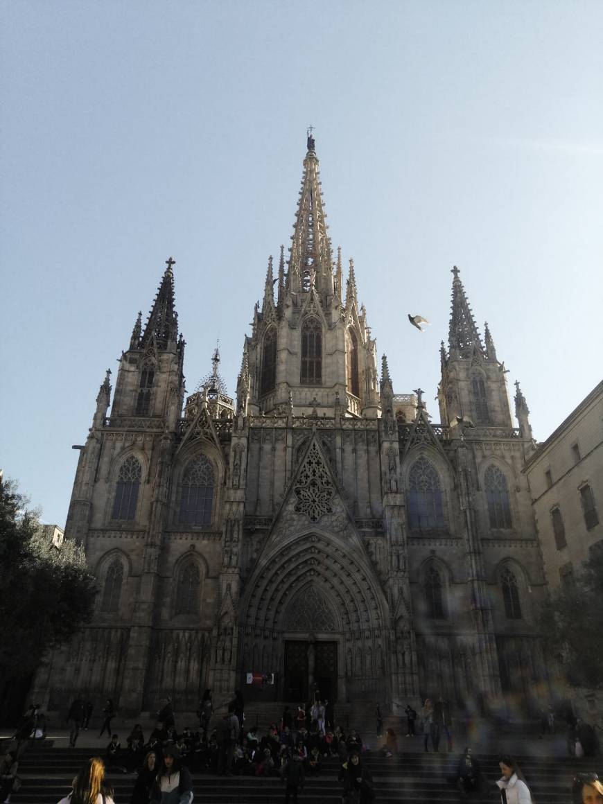 Lugar Catedral de Barcelona