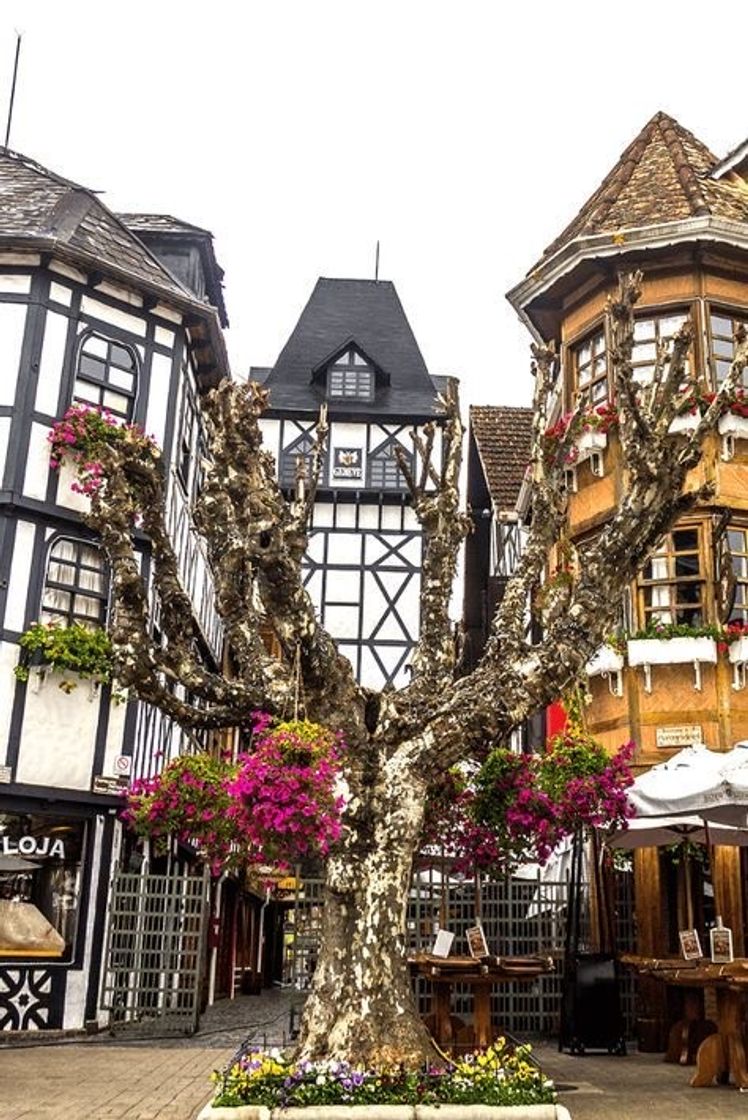 Social Campos do Jordão ❤️