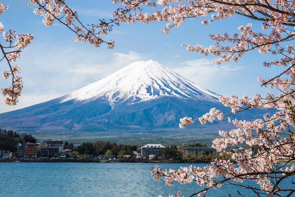 Restaurantes Fuji