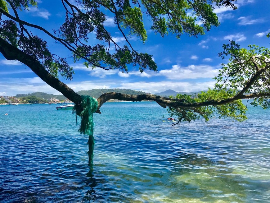 Lugar Bombinhas