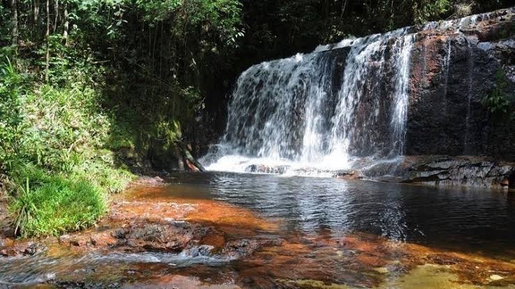 Place Parque Nacional da Serra do Divisor 