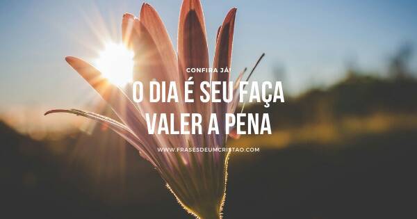 Fashion Frases do dia