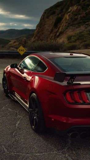 Mustang Shelby GT500