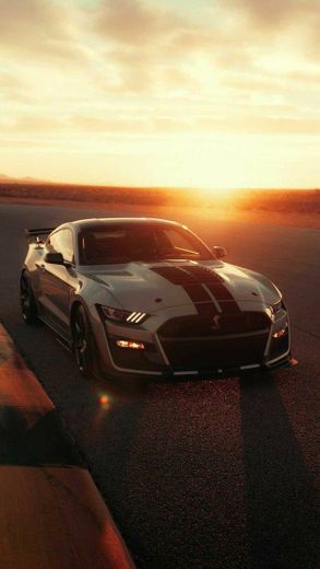 Mustang